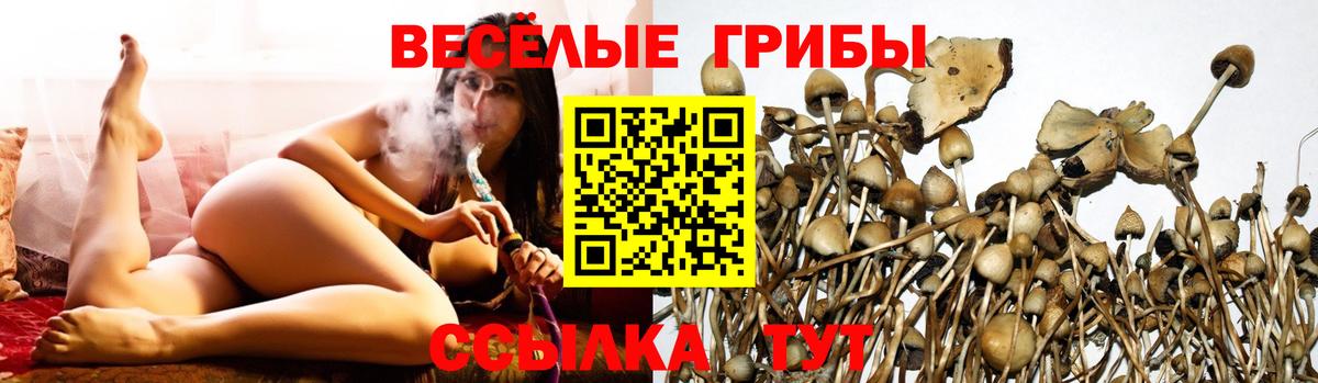 Псилоцибиновые грибы Magic Shrooms  Псилоцибиновые грибы мухоморы  Усть-Илимск  Вход с VPN 